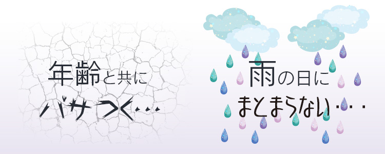 年齢と共にパサつく　雨の日にまとまらない