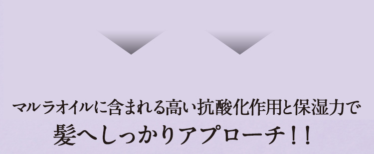 マルラオイルに含まれる高い抗酸化作用と保湿力で髪へしっかりアプローチ!!