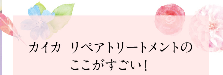 カイカリペアトリートメントのここがすごい！